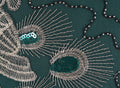 1920s Vintage Peacock Sequined Gatsby Fringed Flapper Roaring 20s Party Dress Green