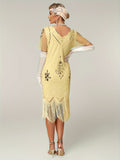 Plus Size 1920s Flapper Dress Gatsby Costume Fringed Sequin Art Deco Dress for Women Beige