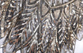 Sequin Beaded Evening Cape 1920s Fringed Shawl Wraps Wedding Bridal Shawl Scarf Gold