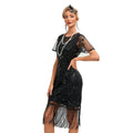 Vintage 1920s The Great Gatsby Flapper Dress Outfits Party Costume Masquerad Dress Black